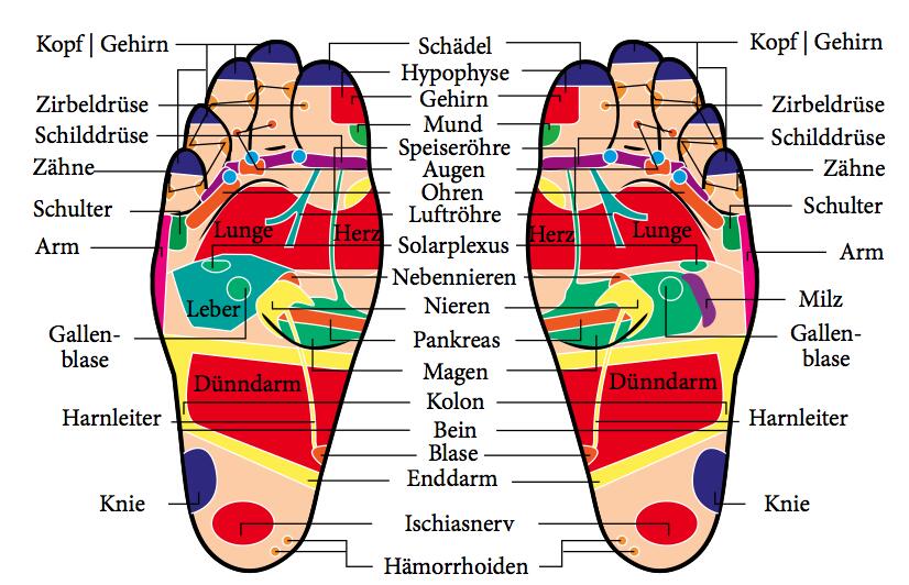 All unsere Organe haben Reflexzonen an unseren Fußsohlen.