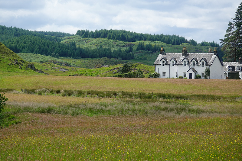 Einsame Feuchtwiese in Schottland.