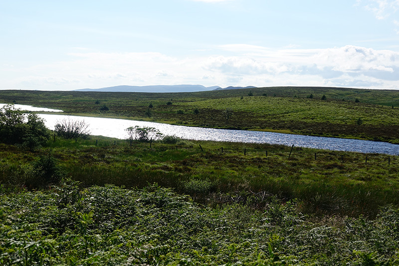 Welcher der vielen schottischen Seen ist eigentlich Loch Ness?