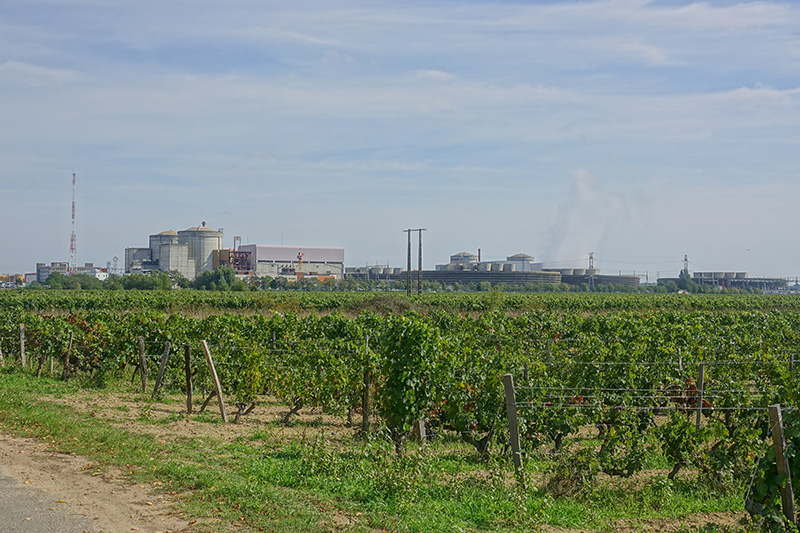Im Hintergrund der Weinfelder zeichnet sich bereits das Atomkraftwerk ab.