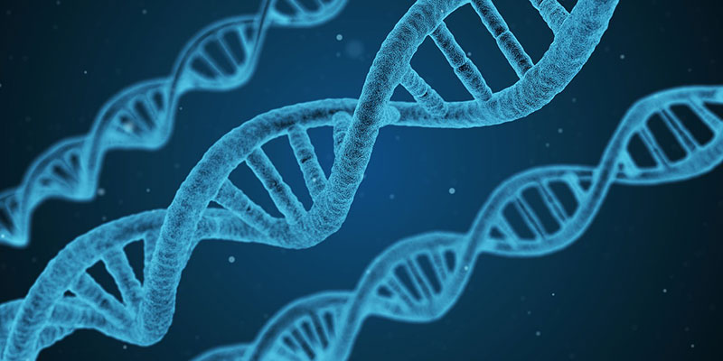 So stellt sich die Moderne Wissenschaft unsere DNA Stränge vor